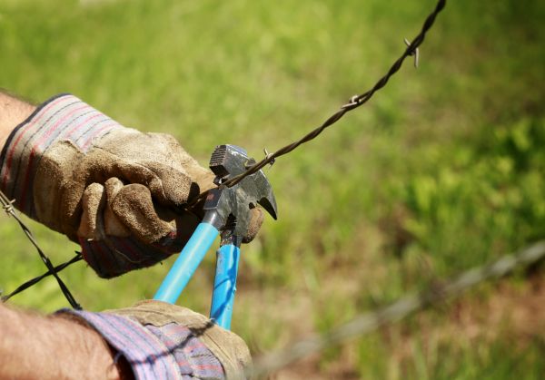 Barbed Wire Fence Repair in Alexandria