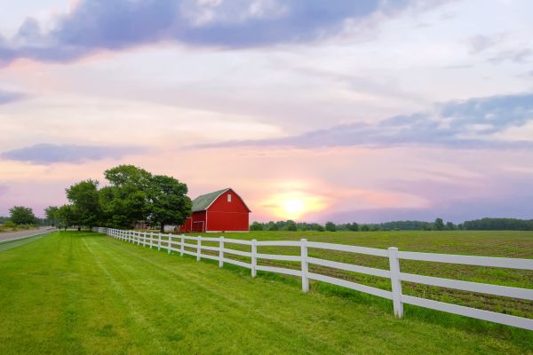 Farm Fencing Installation in Alexandria