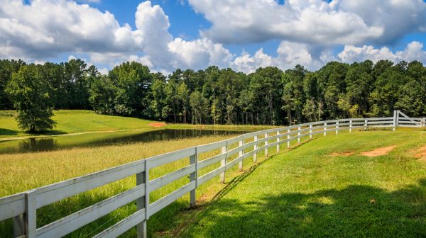 Fence Rail Repair in Alexandria