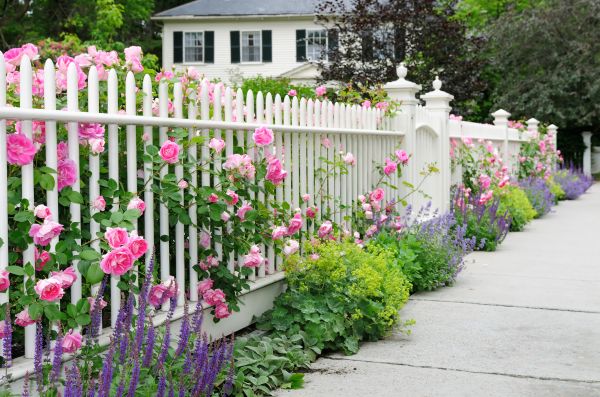 Fence Service in Alexandria