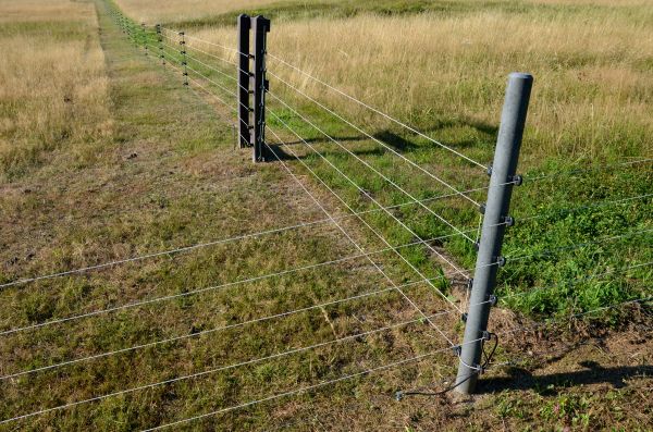 T Post Fence Installation in Alexandria
