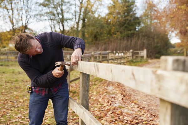 Fence Post Replacement in Alexandria