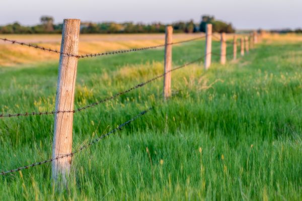 Field Fence Installation in Alexandria