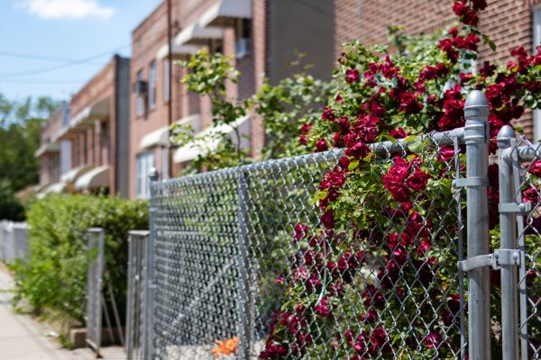 Chain Link Fence Replacement in Alexandria