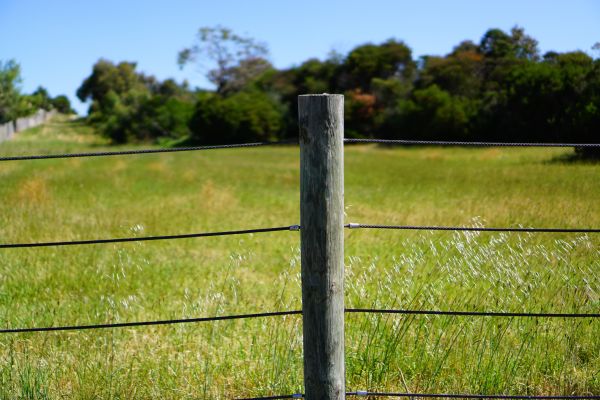 Farm Fencing Service in Alexandria
