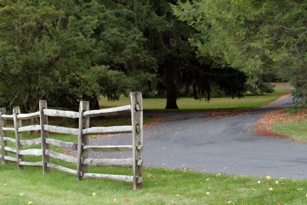 Split Rail Fence Installation in Alexandria