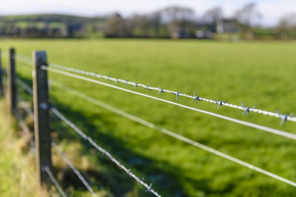 Game Fence Installation in Alexandria