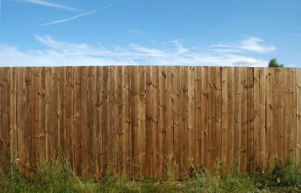 Pine Fence Installation in Alexandria