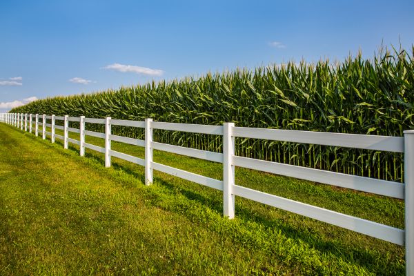 Rail Fence Repair in Alexandria
