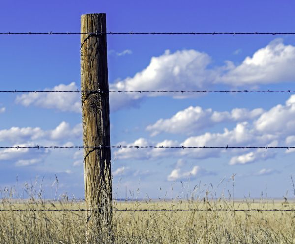 Wire Fence Installation in Alexandria