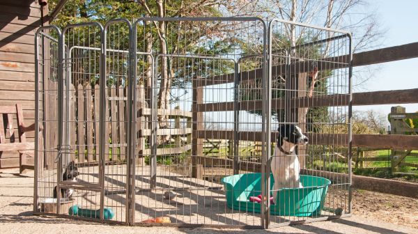 Animal Enclosure Repair