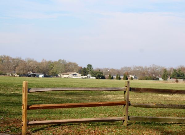 Cattle Fence Repair in Alexandria