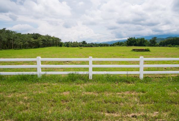 Field Fence Repair in Alexandria
