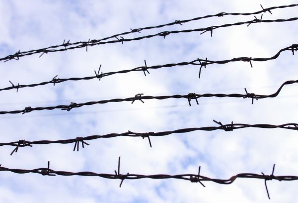 Barb Wire Fencing Repair in Alexandria