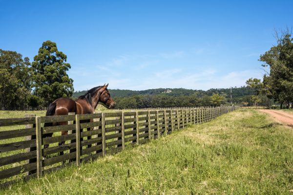 Horse Enclosure Installation in Alexandria
