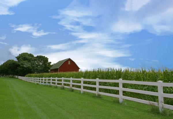 Wooden Farm Fence Installation in Alexandria