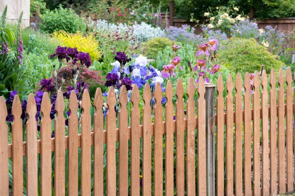 Wood Picket Fence Installation in Alexandria