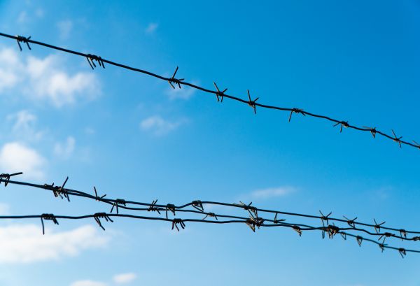 Wire Fencing Service in Alexandria