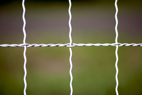 Woven Wire Fence Repair in Alexandria