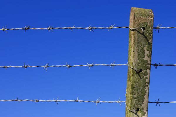 Barbed Wire Fence Replacement