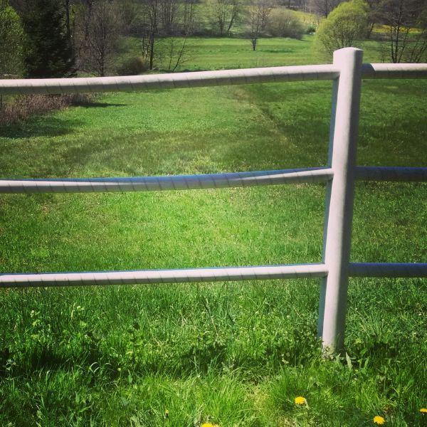 Cattle Fence Replacement in Alexandria