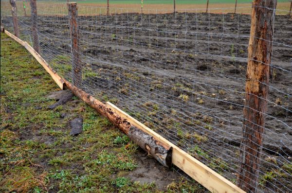 Deer Fencing Repair in Alexandria
