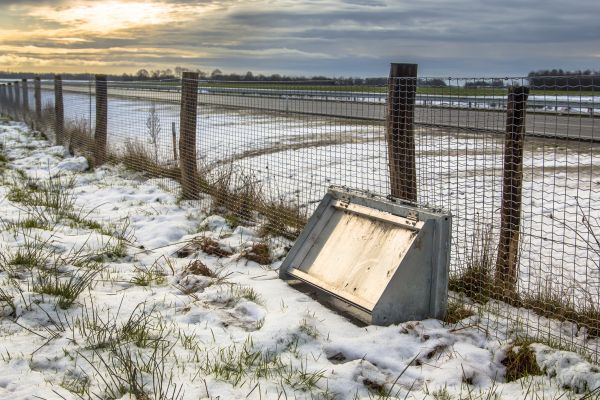 Wildlife Fence Repair in Alexandria