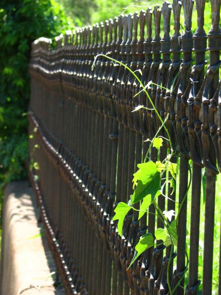 Ornamental Iron Fencing
