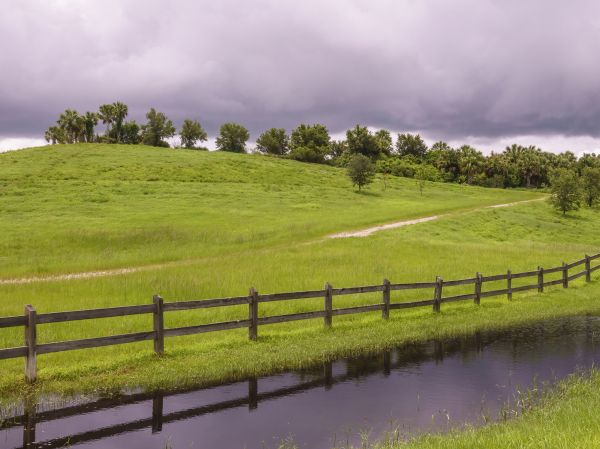 Split Rail Fence Repair in Alexandria
